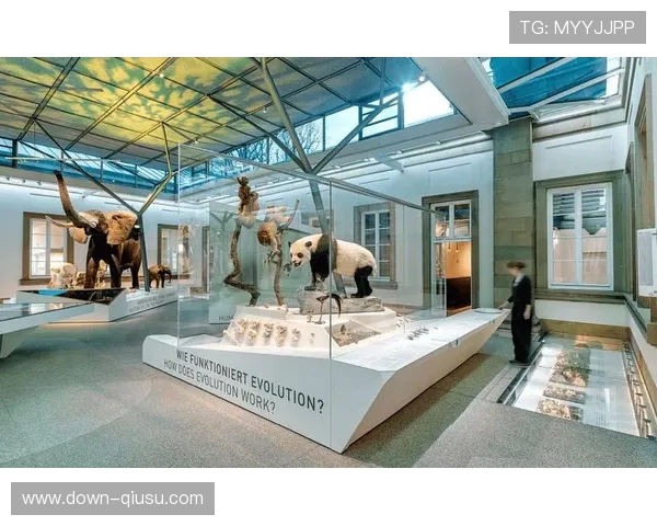 斯图加特俱乐部历史博物馆教育项目开展 斯图加特俱乐部历史博物馆教育项目开展